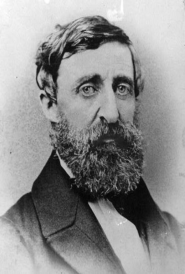 Henry David Thoreau