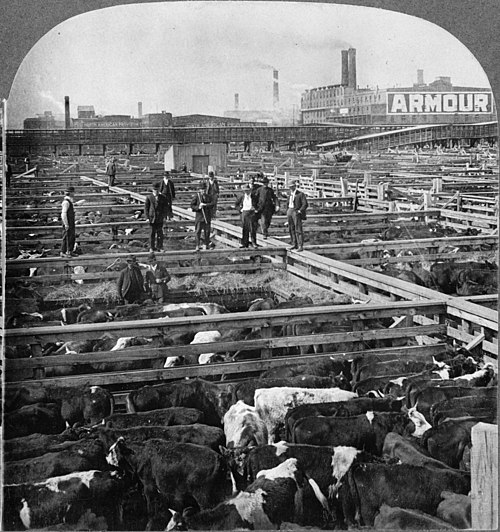 Chicago stockyards, 1909 — the industrial city Sandburg celebrated