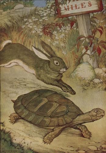 the tortoise and the hare story with pictures