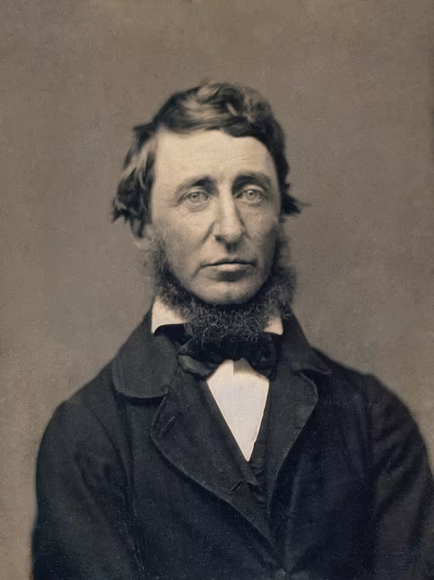 Author Henry David Thoreau