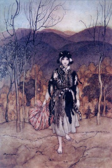 Allerleirauh by The Brothers Grimm