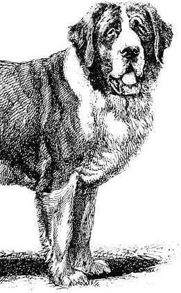 A Dog's Tale by Mark Twain