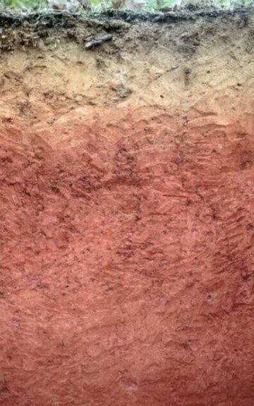 A Handful of Clay by Henry van Dyke