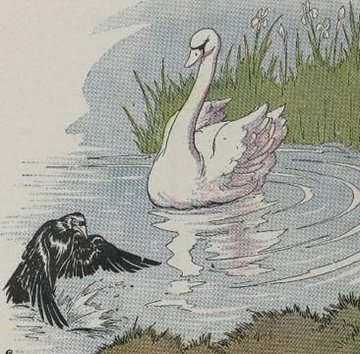 A Raven And A Swan by Aesop