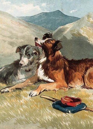 A Yellow Dog by Bret Harte