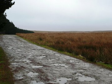Across The Moors by W. F. Harvey