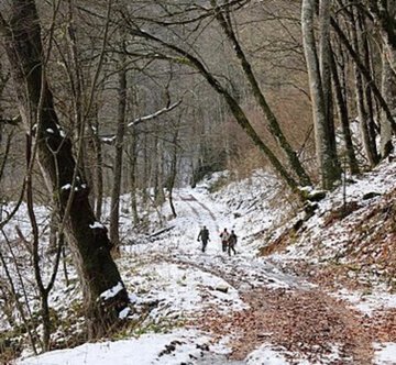 Hunters in the Snow by Tobias Wolff