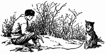 That Spot by Jack London