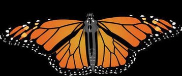 The Artist of the Beautiful by Nathaniel Hawthorne