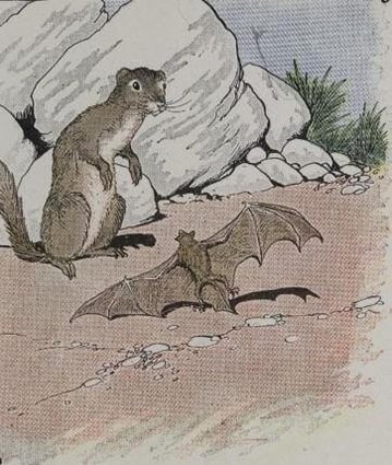 The Bat And The Weasels by Aesop
