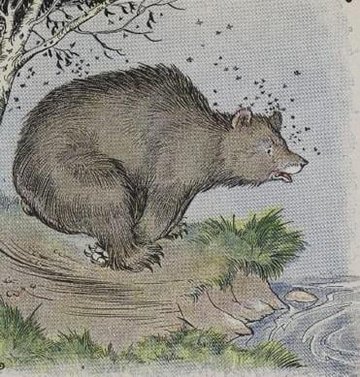 The Bear And The Bees by Aesop