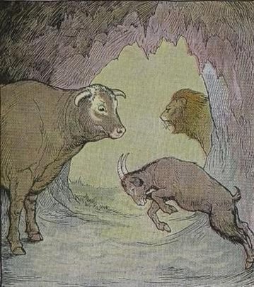 The Bull And The Goat by Aesop
