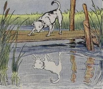 The Dog And His Reflection by Aesop