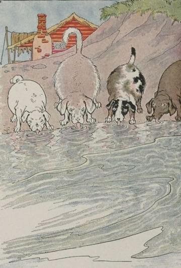 The Dogs And The Hides by Aesop