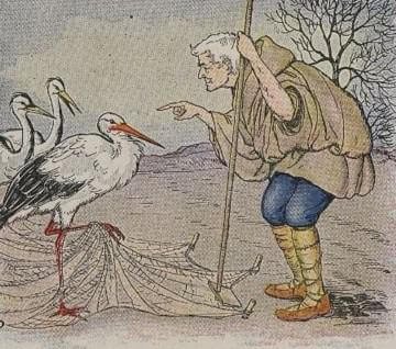 The Farmer And The Stork by Aesop