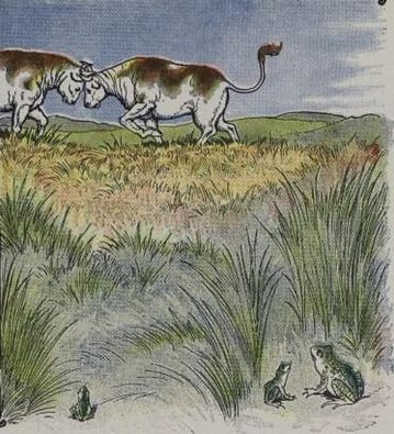 The Fighting Bulls And The Frog by Aesop