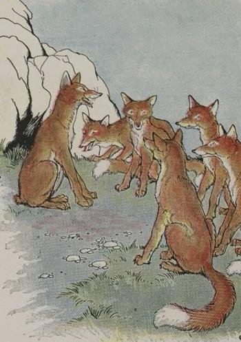 The Fox Without A Tail by Aesop