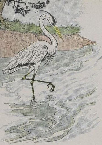 The Heron by Aesop