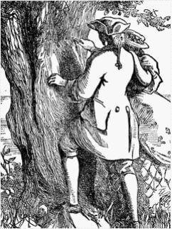 The Last Dream of Old Oak by Hans Christian Andersen