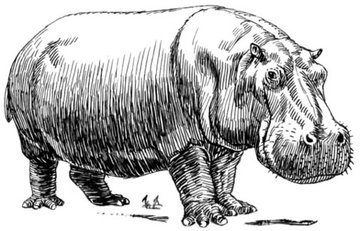 The Laughing Hippopotamus by L. Frank Baum