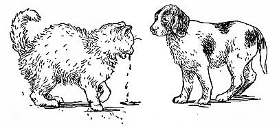 The New Leaf, cat and dog