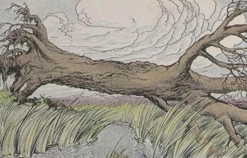The Oak And The Reeds by Aesop