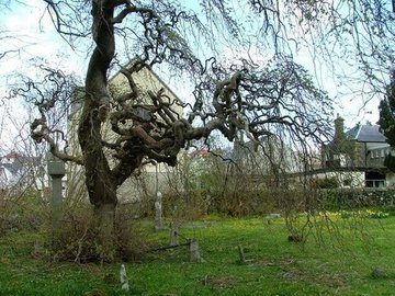 The Old Nurse's Story by Elizabeth Gaskell