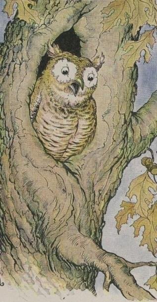 The Owl And The Grasshopper by Aesop