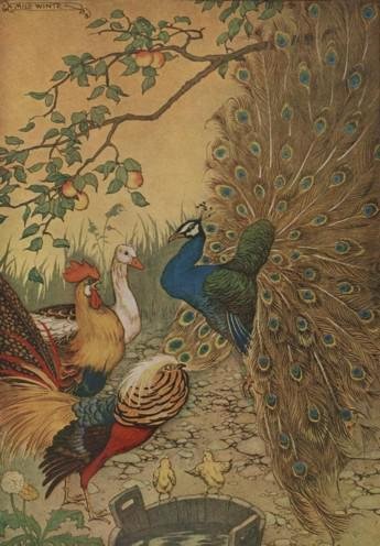 The Peacock by Aesop
