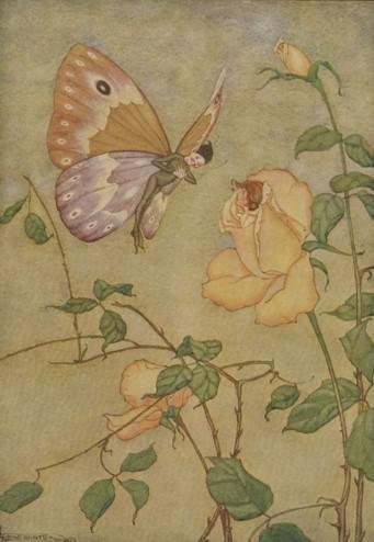 The Rose And The Butterfly by Aesop