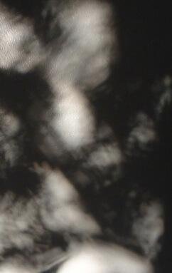 The Shadows on the Wall by Mary E. Wilkins Freeman