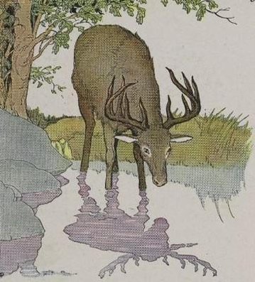 The Stag And His Reflection by Aesop