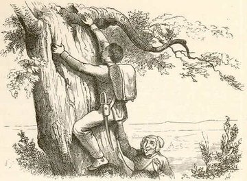 The Tinder-Box by Hans Christian Andersen