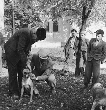 Watch-Dogs by W. W. Jacobs