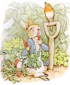 Pre-K Read-Aloud Stories: The Tale of Peter Rabbit